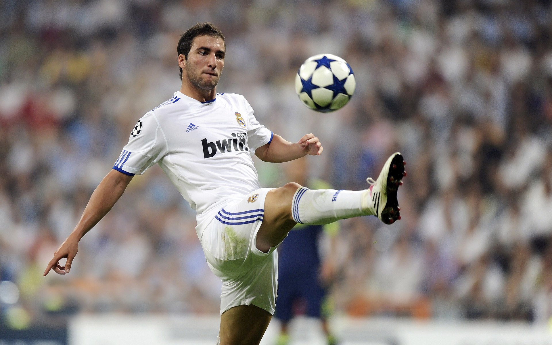 欧洲杯观众人数创历史新高，总计超过500万人次，欧洲杯2021有观众